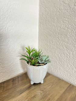 Artificial Succulent Plant