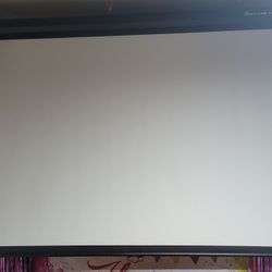 Projector Screen