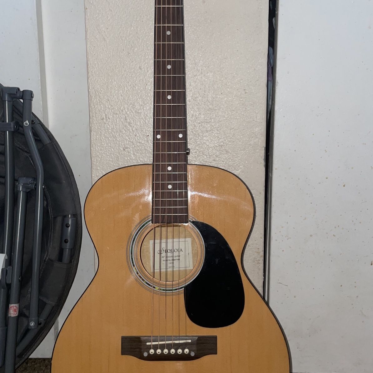 Sequoia 2024 acoustic guitar