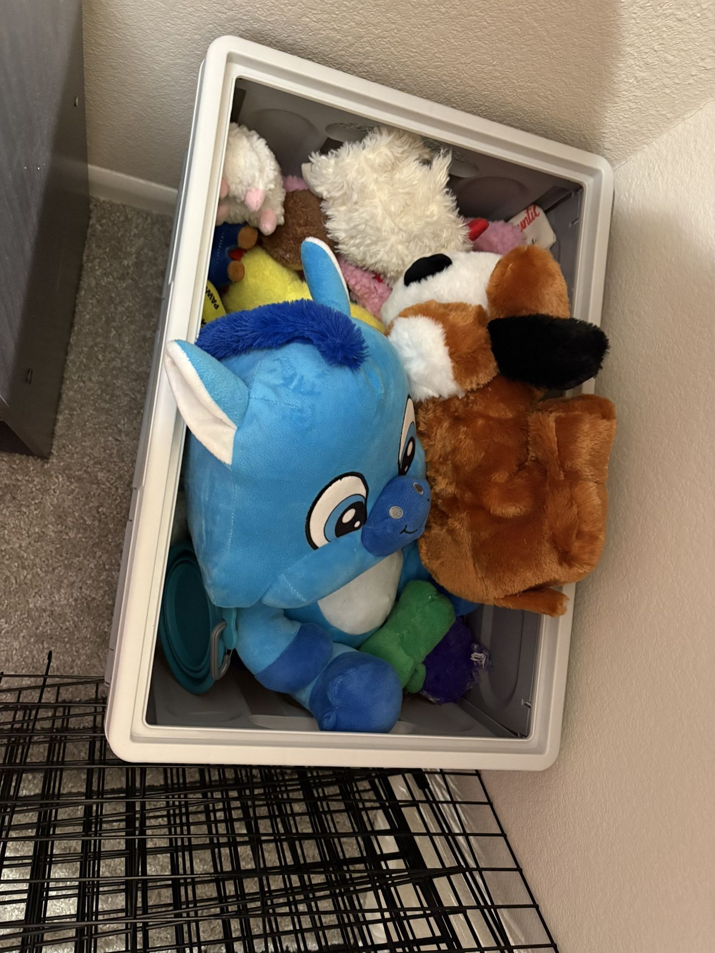 Assortment Of Lightly Used Small Dog toys