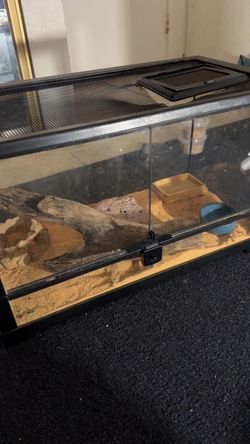 reptile terrarium