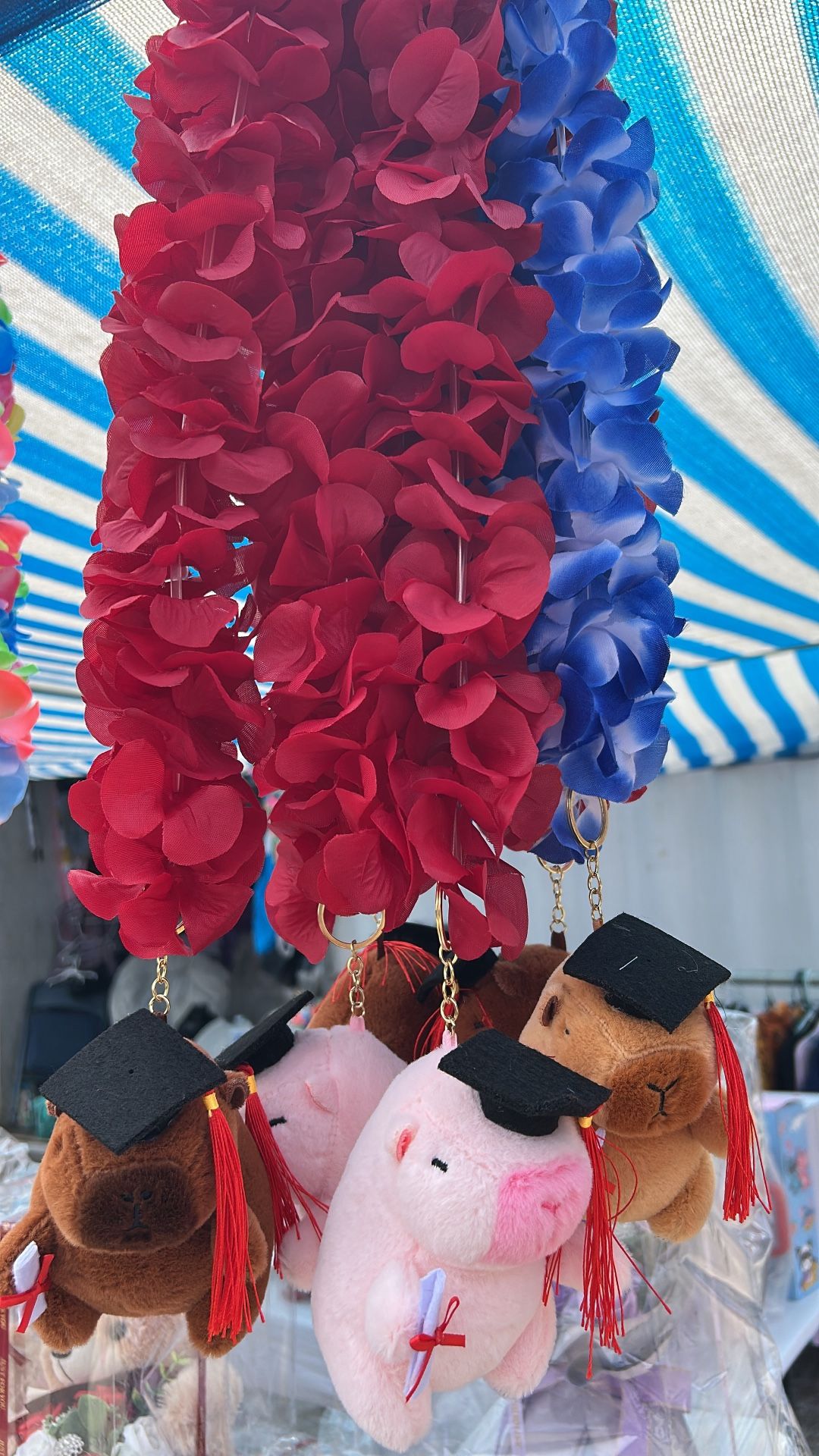 Collares Para Graduación