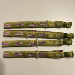 Stagecoach 2025 RV Park Wristbands