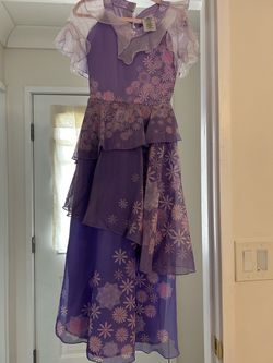 Disney Encanto Isabella Costume Dress