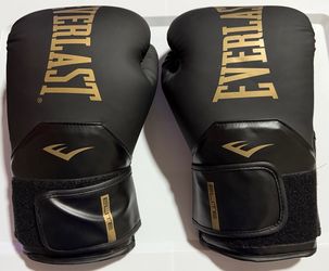 Everlast Boxing Gloves(16oz)