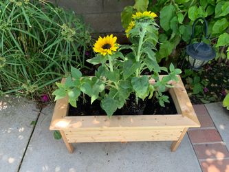 Handmade plants stand serious inquires no bargain