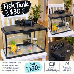🐠 Fish Tank & Accessories – $30