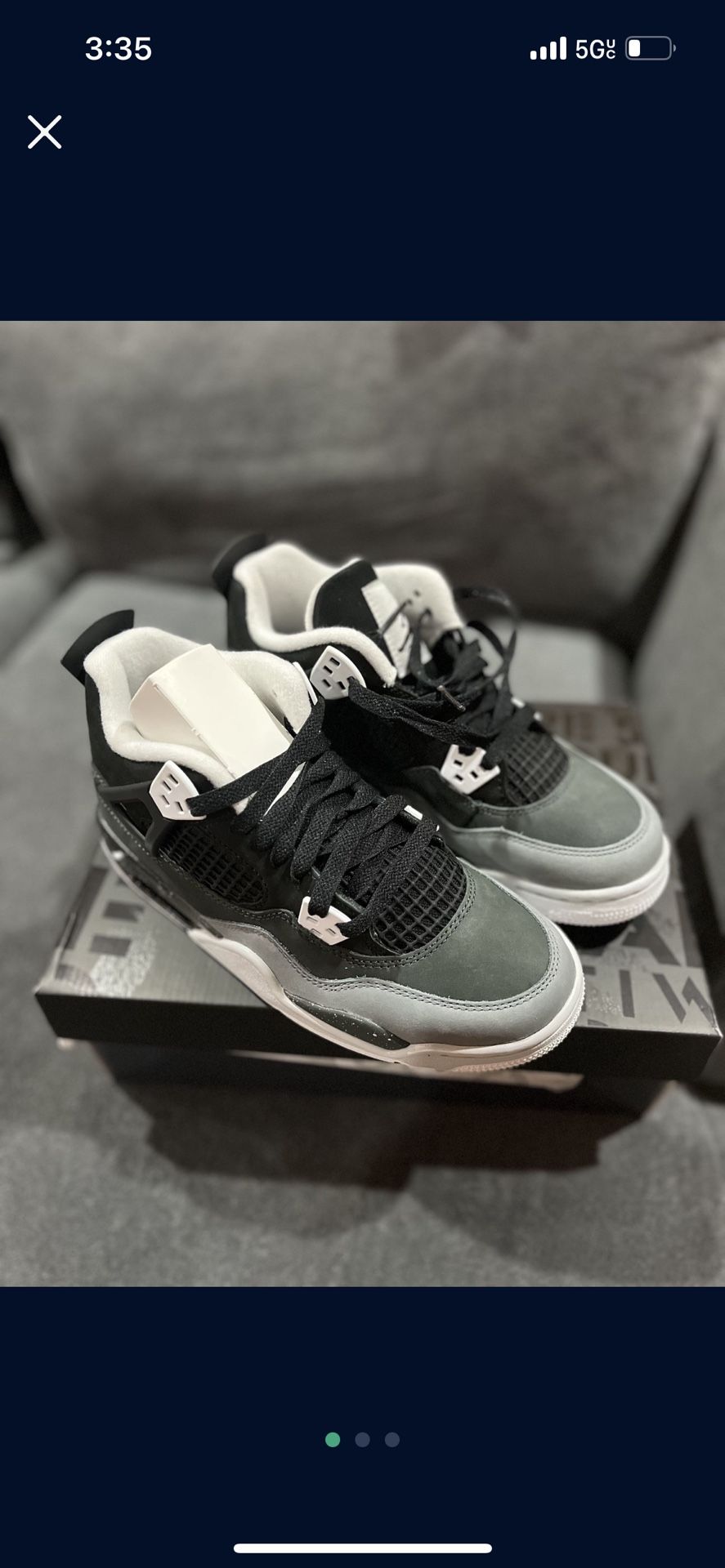 Air Jordan 4s