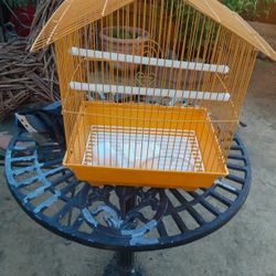 Bird Cage
