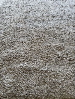 Cream Plush Shag Area Rug Large Modern Soft Rug
