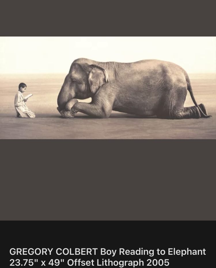 Gregory Colbert Boy Reading To Elephant Framed
