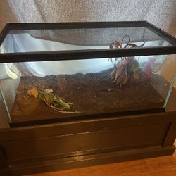 Fish/reptile Tank