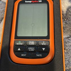 Meat the thermometer