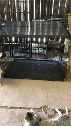 Dog cage
