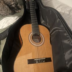 Acoustic Guitar 