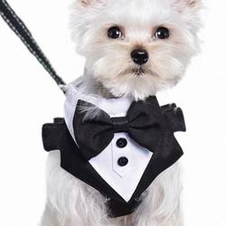 Dog Tuxedo For Small Dog ~15lb