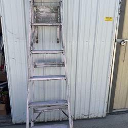 Rustic Ladder 
