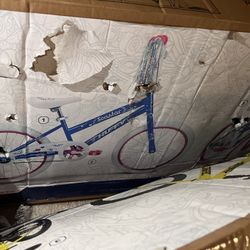 Girls Bike New 70$