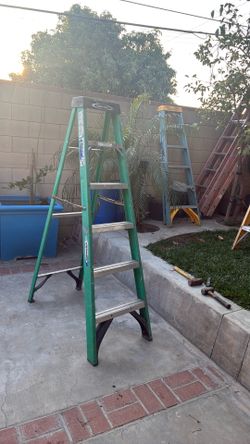 Werner 6 ft ladder