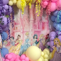 Disney Princess Circle Backdrop Cover