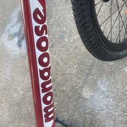 20” Mongoose Bike