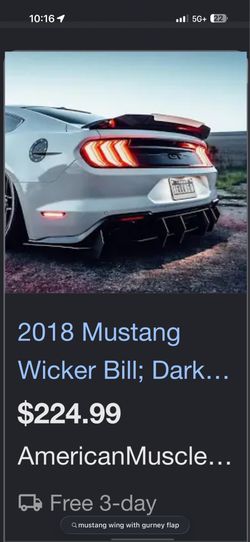 GT350 wing with gurney