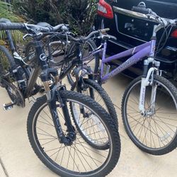 3 Bikes - Schwinn, Giant, Hotrock