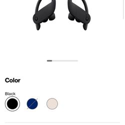 Powerbeats Pro Wireless 