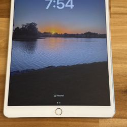 iPad Pro 10.5in - 256 GB WiFi.