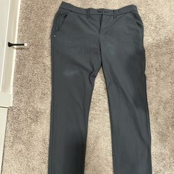 Express Performance Pants