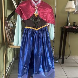 Disney Ana Costume