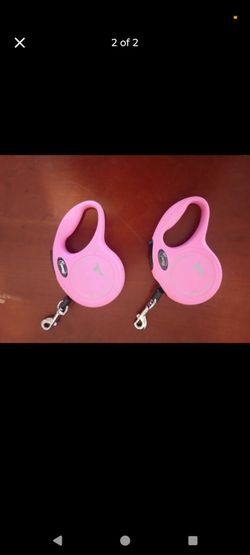 Flexi Retractable Leashes