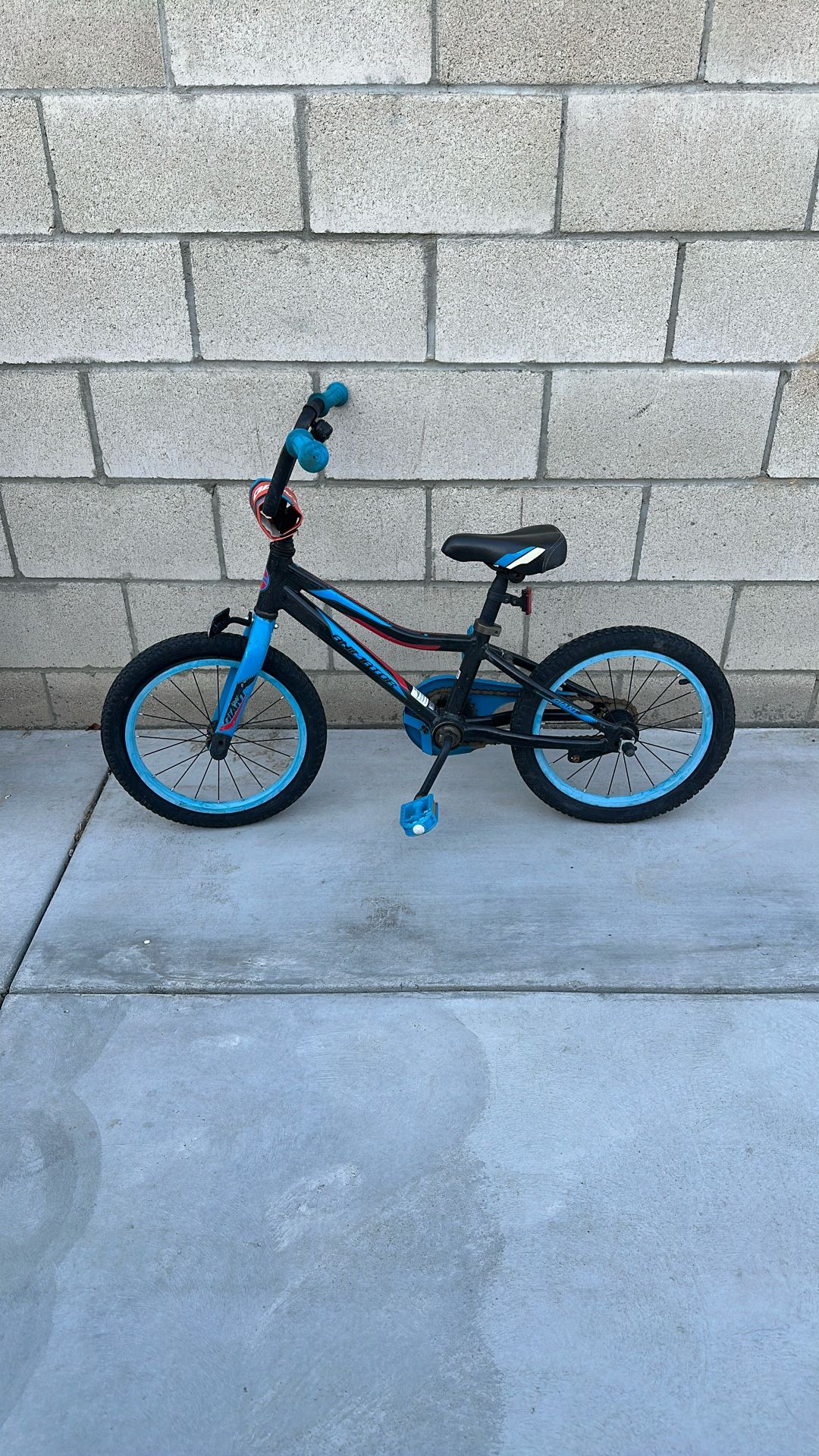 Bike 12in