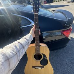 Acoustic Guitar 
