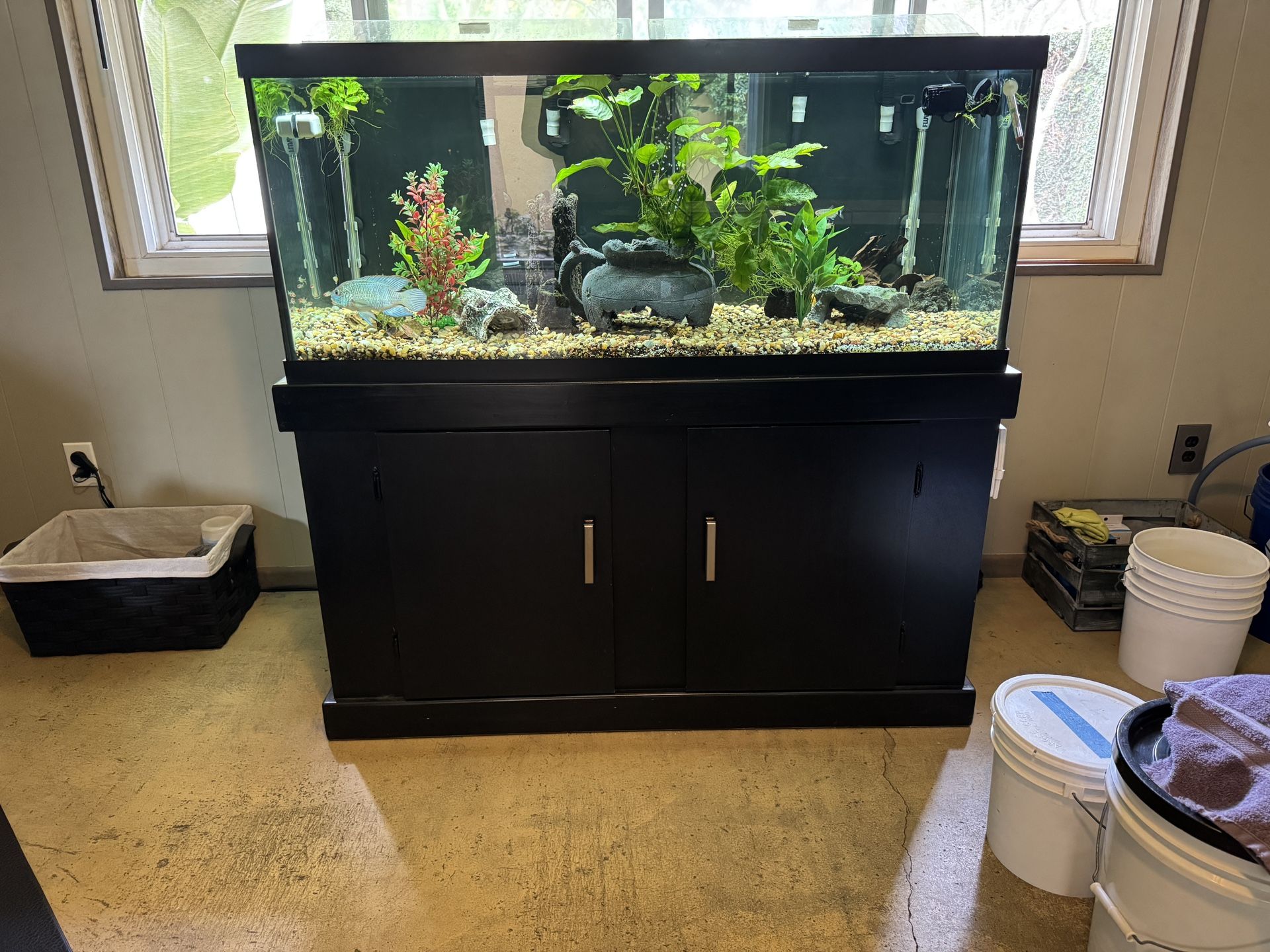 Fish Tank - 75 Gallon With Stand And Accessories.