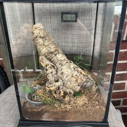 Terrarium