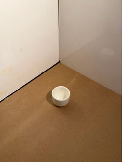 Japanese porcelain Sake jug and cup