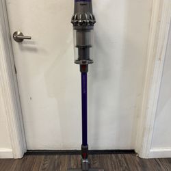 Dyson V11