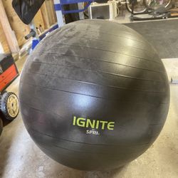 Exercise Ball 