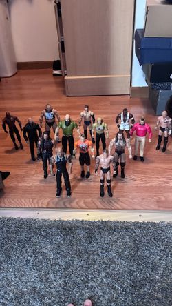 WWE action figures and accessories