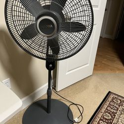 Pedestal Fan