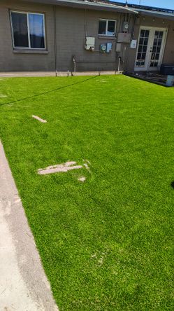 Pavers Turf For Sale Install 