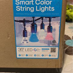 Smart Color String Lights 36” LED
