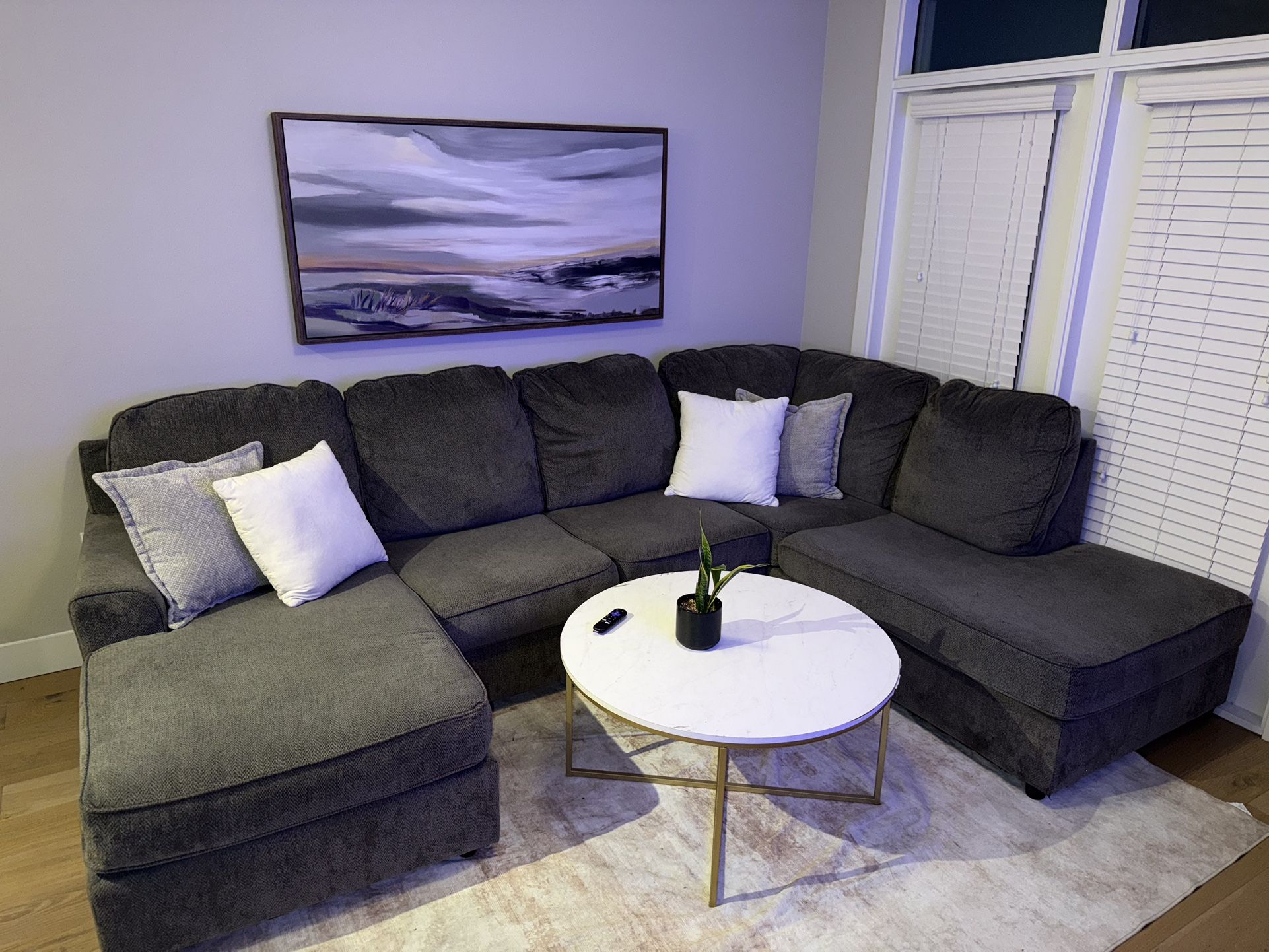 Grey Sectional Couch