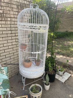 Giant white metal birdcage