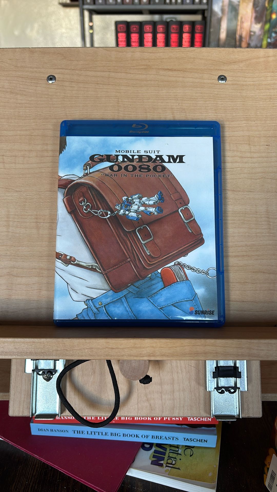 Mobile Suit Gundam: War In The Pocket