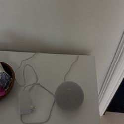 2022 Alexa - Echo Dot 5th Gen 