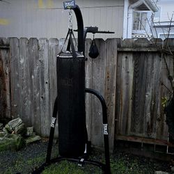 Everlast Powercore Heavy Bag & Speed Bag 