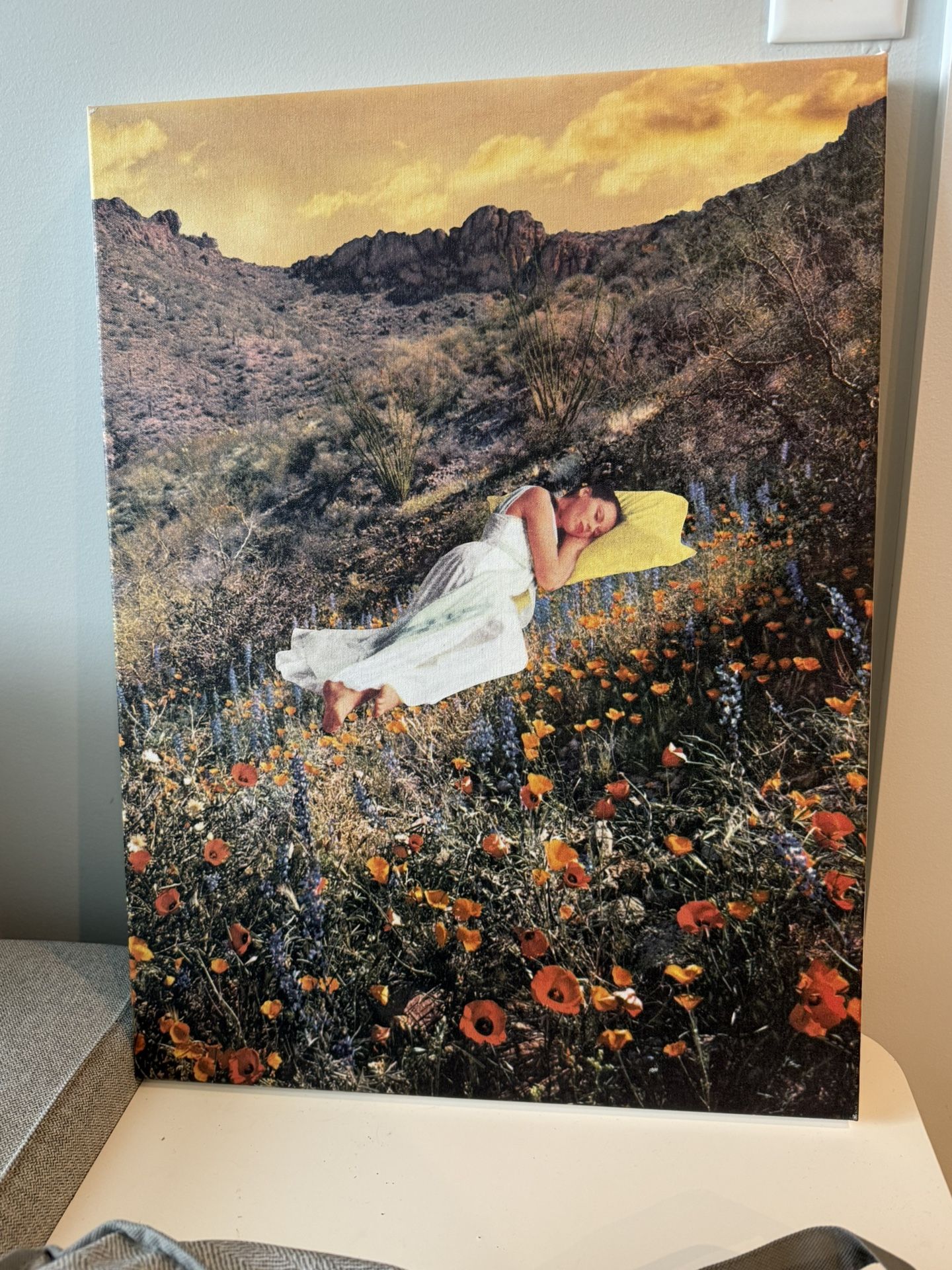 Picture On Canvas 