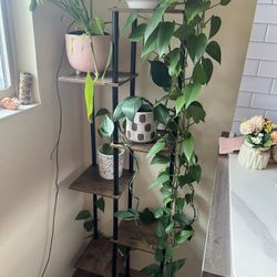 Wooden Plant Stand 
